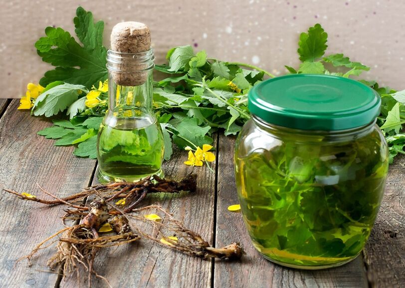 Prostatit için kırlangıçotu tentürü